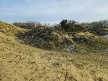 Oostnieuwkerke duinen wandeling in de koude (België)